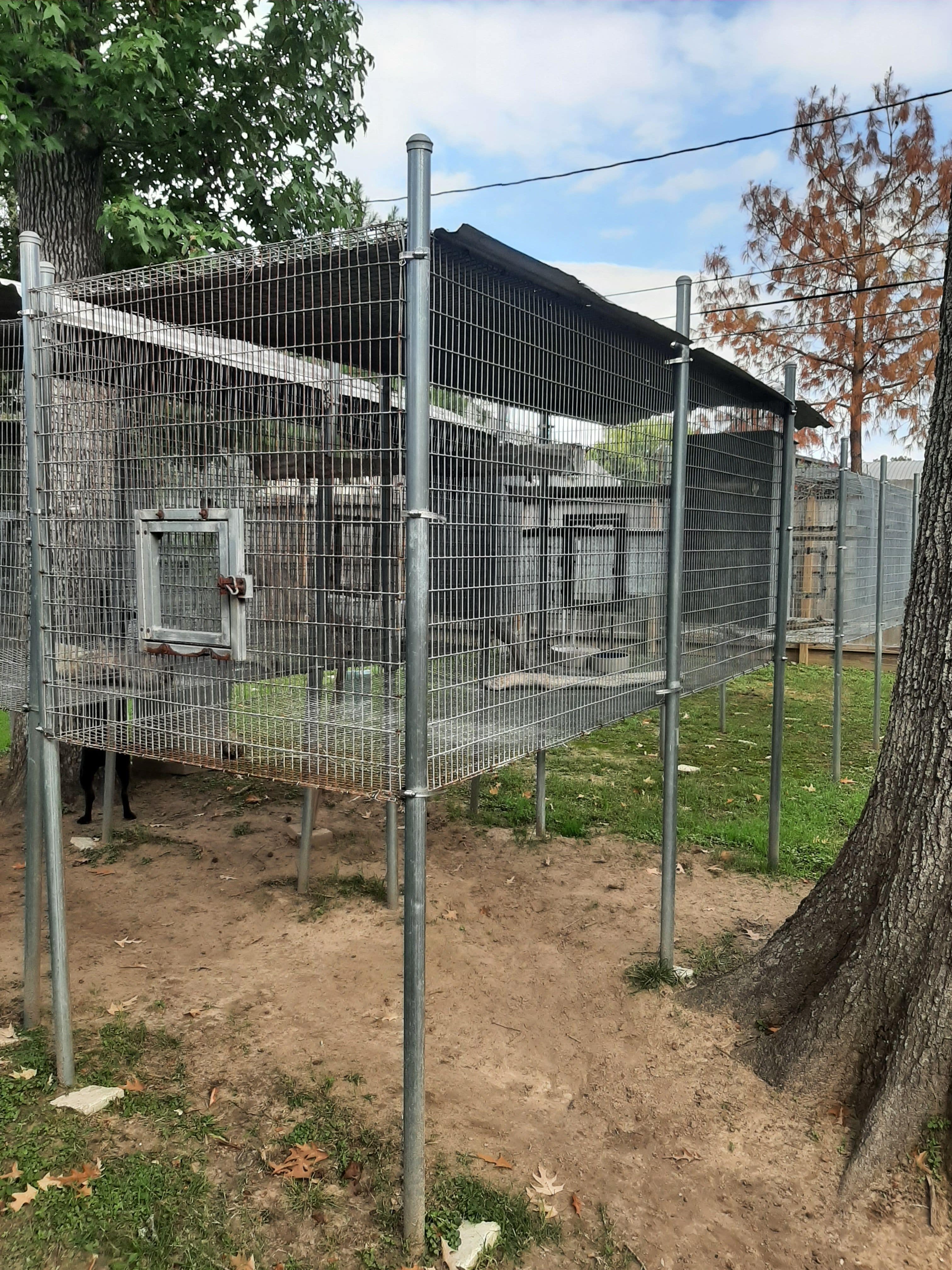 9x4x3 breeder bird cage for sale in houston, texas