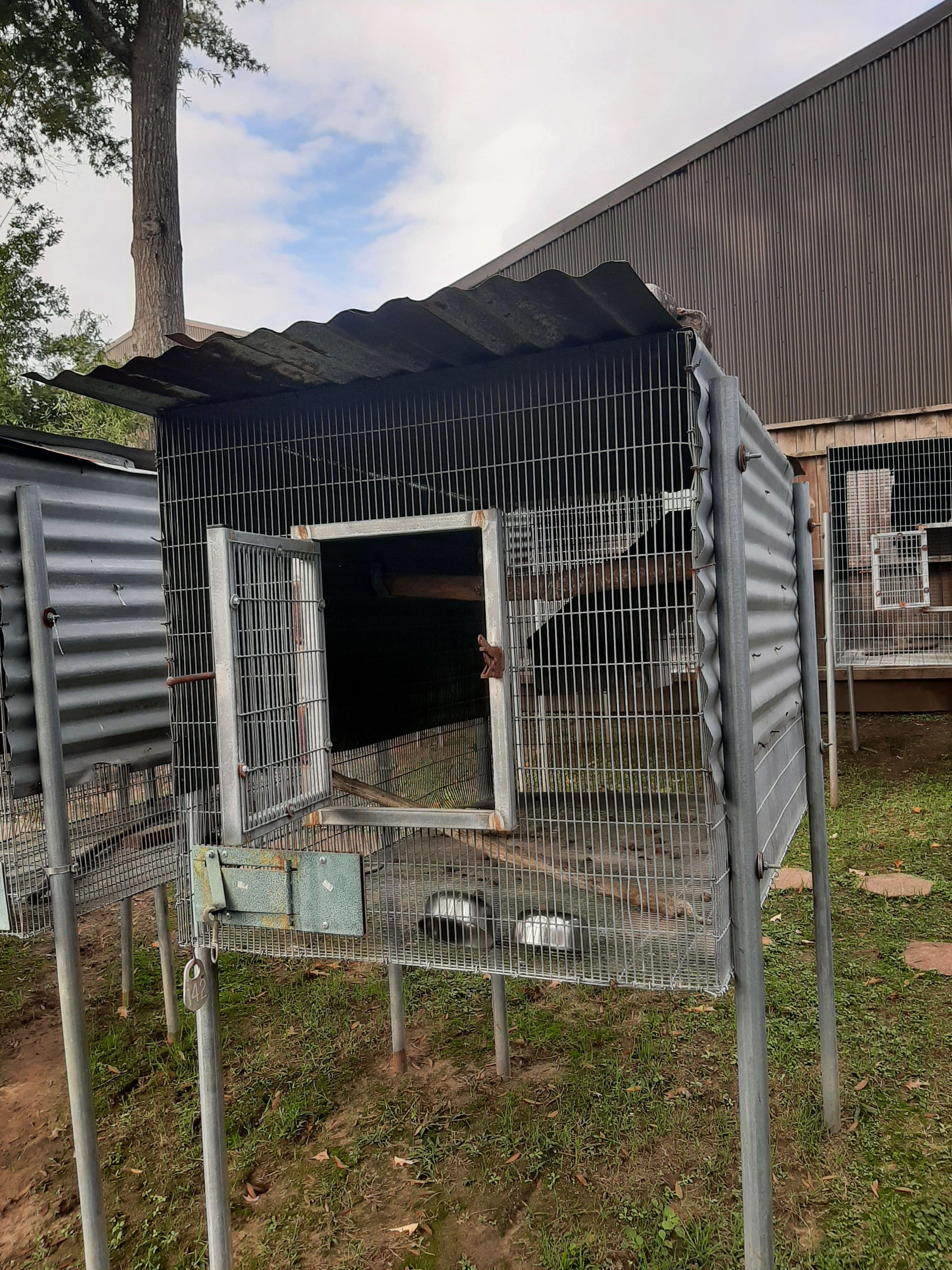 6x4x4 breeder bird cage for sale in houston, texas