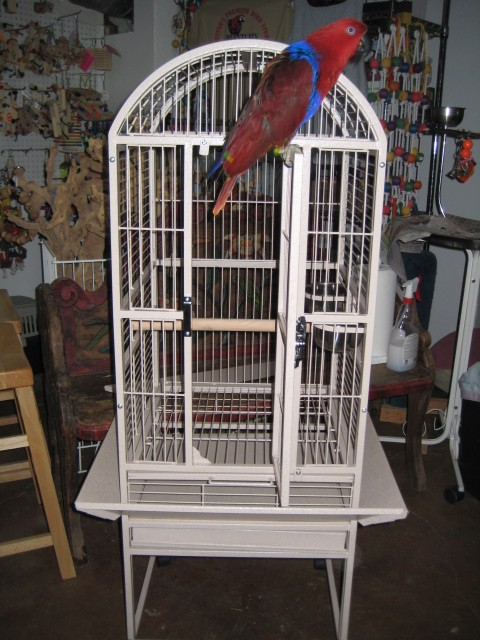 A&E cages for sale in houston, Texas.